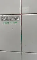 E-Book (epub) Ballbag von Frank T Bird