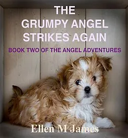 E-Book (epub) The Grumpy Angel Strikes Again (The Tilly and George Adventures, #2) von Ellen M James