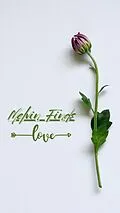 E-Book (epub) Melvin Finds Love von Ash Rash