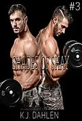 E-Book (epub) Shades Of Shay (Shades of Shay Trilogy, #3) von Kj Dahlen
