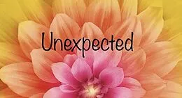 E-Book (epub) Unexpected von Tara Ellen