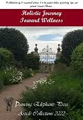 E-Book (epub) Holistic Journey Toward Wellness von Gabriella Korösi, Yana Bostongirl, Tamil