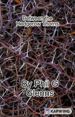 E-Book (epub) Between the Hedgerow Thorns von Phil G Glenn