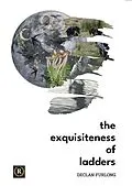 E-Book (epub) The Exquisiteness of Ladders von Declan Furlong