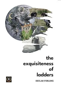 E-Book (epub) The Exquisiteness of Ladders von Declan Furlong