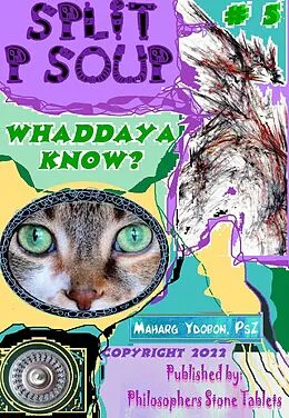 E-Book (epub) Split P Soup -- Book 5: Whaddaya Know? von Maharg Ydobon