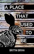 E-Book (epub) A Place That Used to Be (The Patch Project, #2) von Brittni Brinn