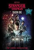 E-Book (epub) Stranger Things, Season One: The Junior Novelization von Matthew J. Gilbert