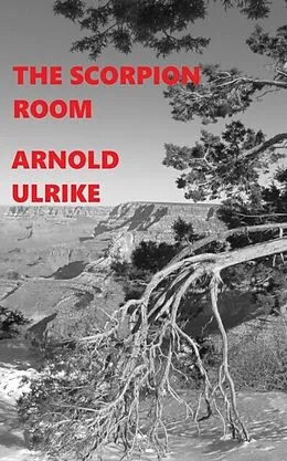 E-Book (epub) Scorpion Room von Arnold Ulrike