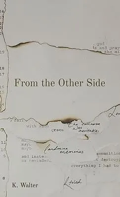 E-Book (epub) From the Other Side von K. Walter