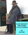 E-Book (epub) Slow Descent and Other Little Stories von Ed Fair