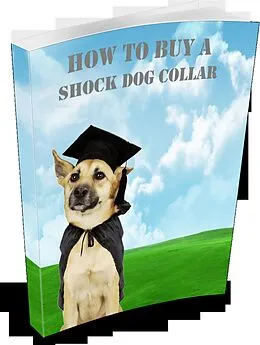 E-Book (epub) How to Buy a Shock Dog Collar von Kpk