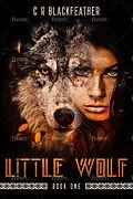 E-Book (epub) Little Wolf I (An American Western, #1) von C. R. Blackfeather