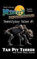 E-Book (epub) Mystery Underground: Terrifying Tales #1 von David Anthony, Charlie Clasman
