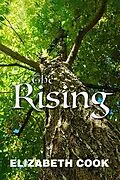 E-Book (epub) The Rising von Elizabeth Cook
