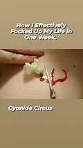 E-Book (epub) How I Effectively Fucked Up My Life In One Week von Cyanide Circus