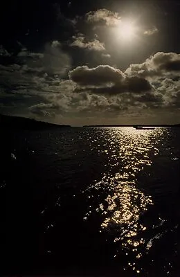 E-Book (epub) Of Light and Shadows von Tom Foster