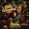 E-Book (epub) Little Curiosities(Part 5): Biomes von Jeffrey C. Mcgregor