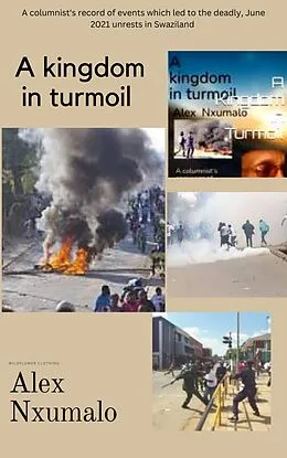 E-Book (epub) A Kingdom In Turmoil von Alex Nxumalo