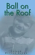 E-Book (epub) Ball on the Roof (Joey's Adventures, #1) von Joseph Warren Brown