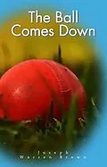 E-Book (epub) The Ball Comes Down (Joey's Adventures, #2) von Joseph Warren Brown