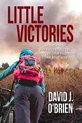 E-Book (epub) Little Victories von David J. O'Brien