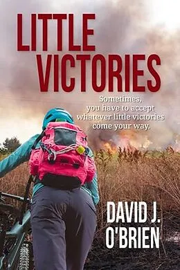 E-Book (epub) Little Victories von David J. O'Brien