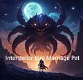 E-Book (epub) Interstellar Bug Marriage Pet von Zi Huang