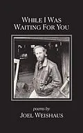 E-Book (epub) While I Was Waiting for You von Joel Weishaus