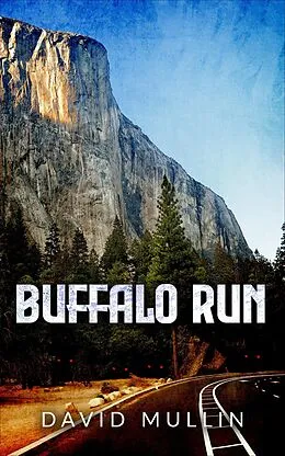 E-Book (epub) Buffalo Run von David Mullin