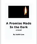 E-Book (epub) A Promise Made In The Dark von Judith Low
