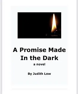 E-Book (epub) A Promise Made In The Dark von Judith Low