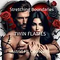 E-Book (epub) Twin Flames (Stretching Boundaries, #2) von Astrid Louise
