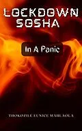 E-Book (epub) In A Panic (Lockdown Sosha, #2) von Thokozile Eunice Mahlaola