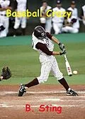 E-Book (epub) Baseball Crazy von B. Sting