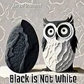 E-Book (epub) Black is Not White (The Magic of Reading) von Dan Owl Greenwood