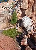 E-Book (epub) Scraps von Lisa M Powell