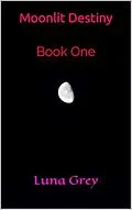 E-Book (epub) Moonlit Destiny (Moonlit Legends) von Luna Grey, Megan (Jenkins) Wireman, Justin Wireman
