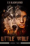 E-Book (epub) Little Wolf II (An American Western, #1) von C. R. Blackfeather