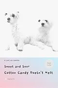E-Book (epub) Sweet and Sour Cotton Candy Doesn't Melt von Yeong Hwan Choi