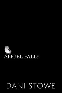 E-Book (epub) Angel Falls (There Are No Angels Here, #1) von Dani Stowe
