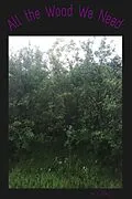E-Book (epub) All the Wood We Need von M L Riley