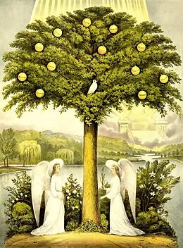 E-Book (epub) Trees of Life: A Visual History of Evolution von Deepika Sharma