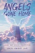 E-Book (epub) Angels Gone Home von Jules Knight Love