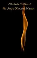 E-Book (epub) The Scripts That Are Written von Masonia Williams
