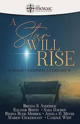 E-Book (epub) A Star Will Rise: A Mosaic Christmas Anthology II von Brenda S. Anderson, Eleanor Bertin, Sara Davison