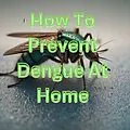 E-Book (epub) How To Prevent Dengue At Home von Sanjay Kumar