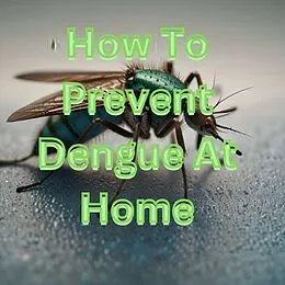 E-Book (epub) How To Prevent Dengue At Home von Sanjay Kumar