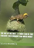E-Book (epub) The Art of Instinct: If Birds Can Be This Creative, Then Humans Can Much More! von Selasi Noamesi