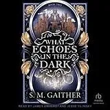 Digital What Echoes in the Dark von S M Gaither